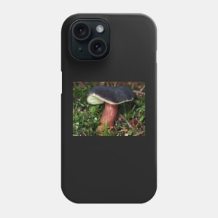 Young Zeller's Bolete mushroom Phone Case