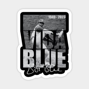 Vida Blue Magnet