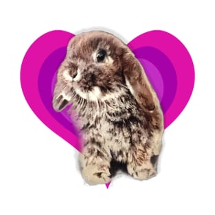 Super cute 3D baby mini lop rabbit on a rainbow heart! T-Shirt