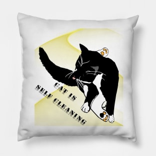 cute Tuxedo cat is self cleaning  Copyright TeAnne Pillow