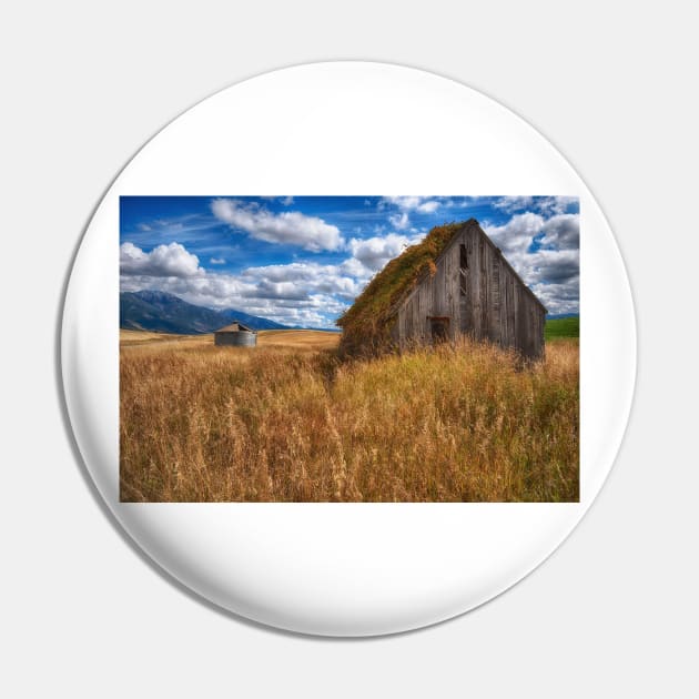 Remnants of Farm Life Pin by StacyWhite