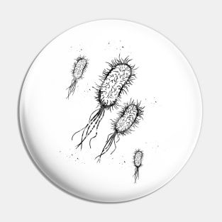 Escherichia coli Pin