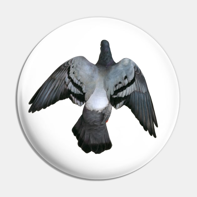 Pigeon Pin by Warbler Creative