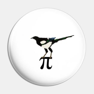 Eurasian Magpie standing on pi symbol Pin