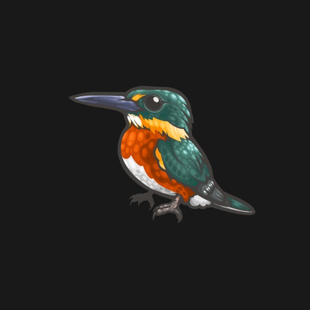 American Pygmy Kingfisher by Ginboy