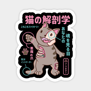 Japanese Neko Cat Anatomy Kawaii Magnet