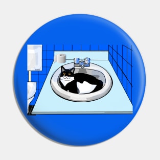 Cute Tuxedo Cat in the bathroom basin  Copyright TeAnne Pin