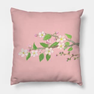 Blossoming Apple Tree Branch Illustration Pillow