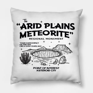 Arid Plains Meteorite Pillow