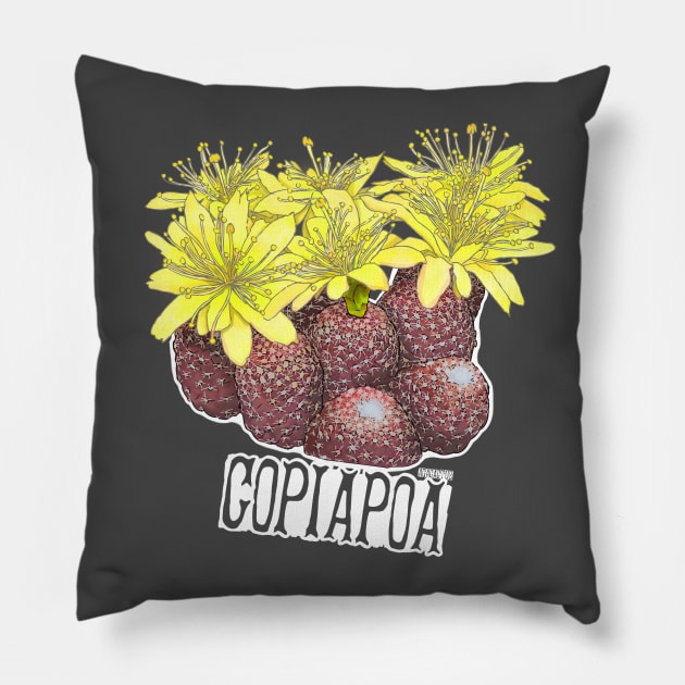 Copiapoa Sp. #2 By AgaCactus Pillow by AgaCactus