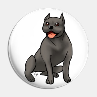 Dog - American Staffordshire Terrier - Black Pin