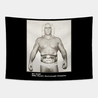 RIC FLAIR Tapestry