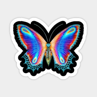 Butterfly Vision Magnet