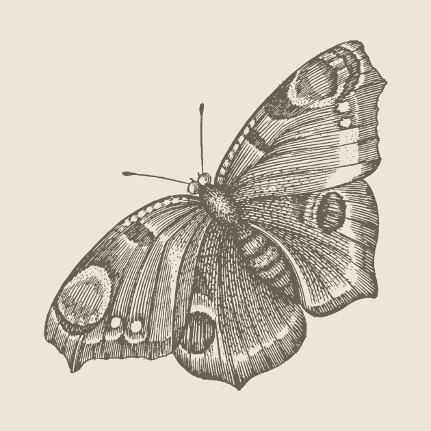 Dramabite Vintage butterfly illustration by dramabite