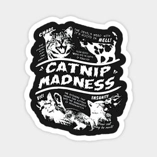 Catnip Madness Cute Kitten Funny Cat Pet Humor Magnet