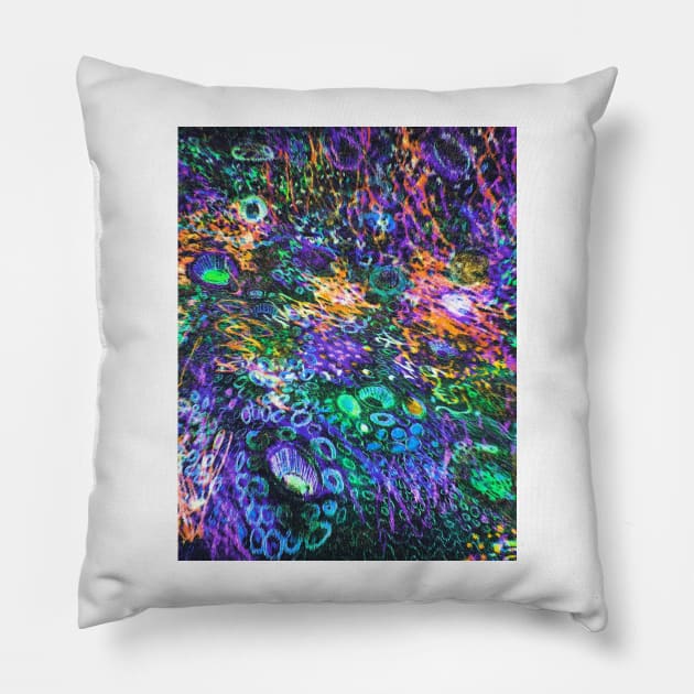 Fairyland Pillow by Alchemia