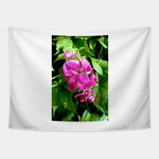 Pink Sweet Pea Tapestry