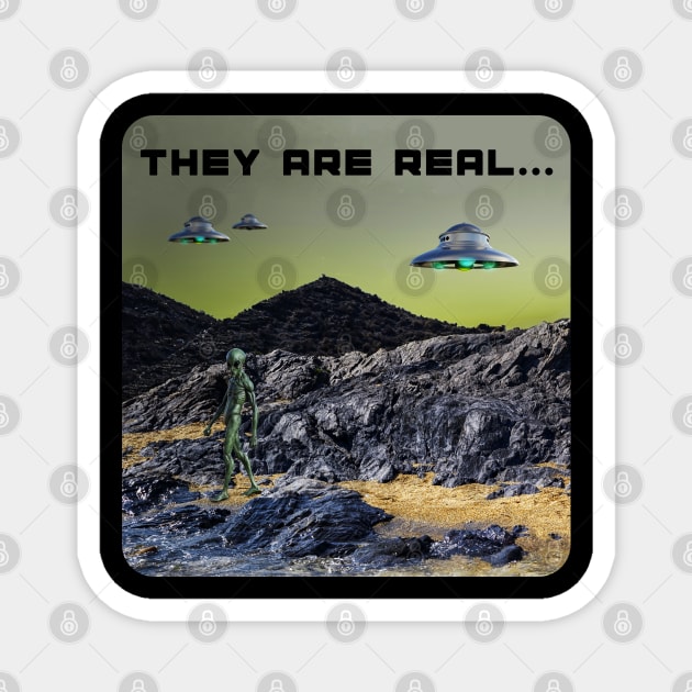 UFO's and Aliens - They are real... Magnet by The Black Panther