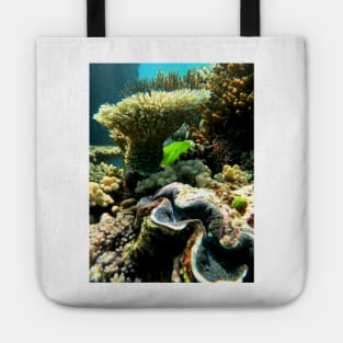 Giant Clam Tote