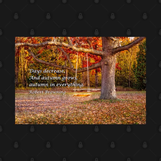 Tree Swing In Autumn by Robert Alsop