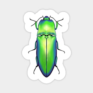 Beetle Magnet