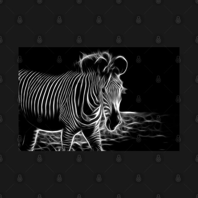 zebra, black and white by hottehue