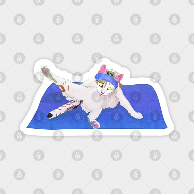 Yoga cat Magnet by vixfx