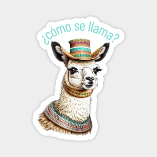 ¿cómo se llama? llama pun Magnet