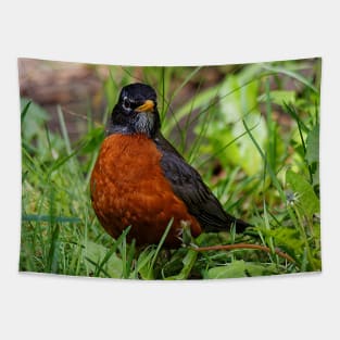 A Curious and Hopeful American Robin Tapestry