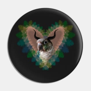 demon conure parrot Pin