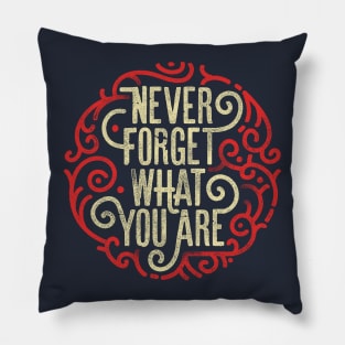 Never forget what you are Pillow