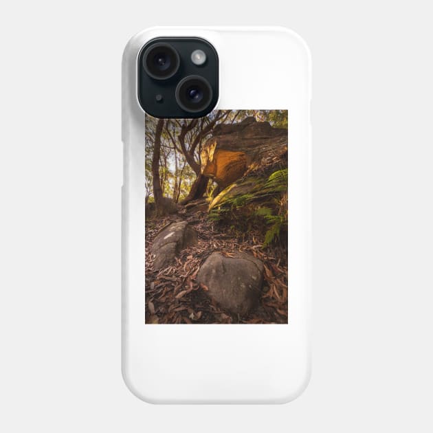 Cave In Bushland Phone Case by Geoff79