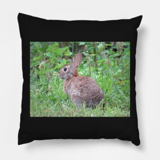 Mr. Rabbit Pillow