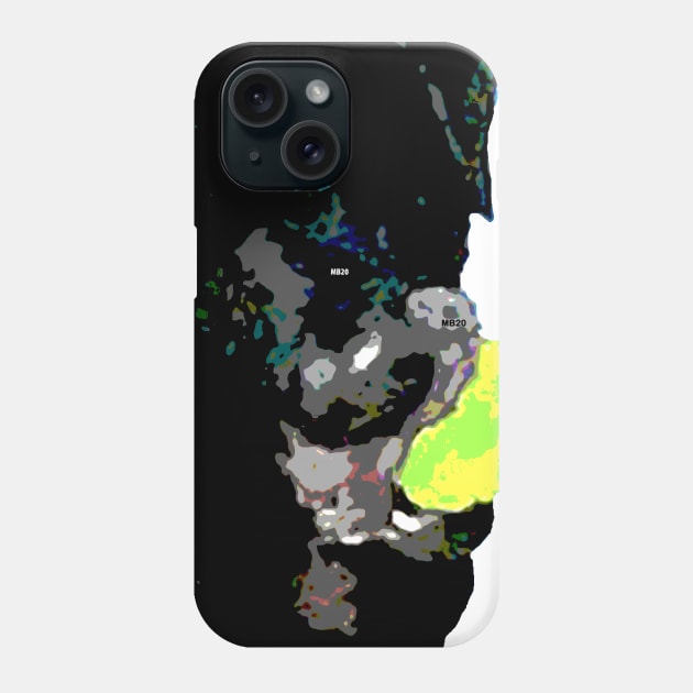 English Black Lab Phone Case by Lil' Angel Pet Portraits