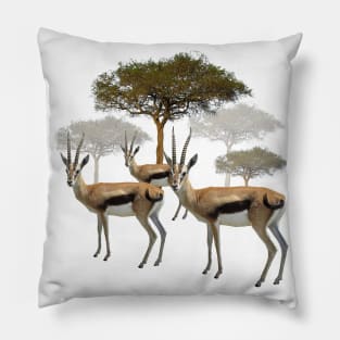 Thomson Gazelle - Antelope in Kenya / Africa Pillow