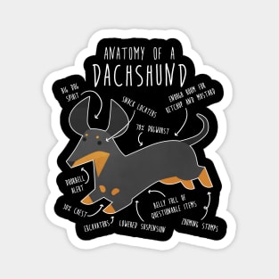 Black and Tan Dachshund Dog Anatomy Magnet