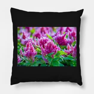 purple flower Pillow