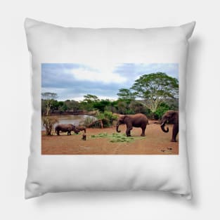 African Elephant White Rhinoceros South Africa Pillow