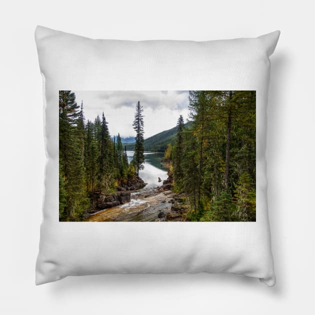 850_6537 Pillow by wgcosby