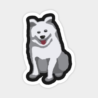 American Eskimo Dog Magnet