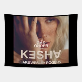 Kesha the gag order tour Tapestry