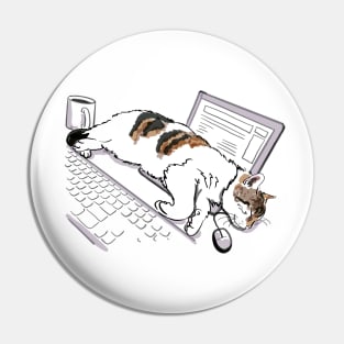 Cat sleeping on laptop Pin