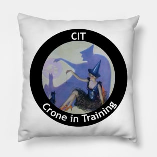 Crone in Training Pillow