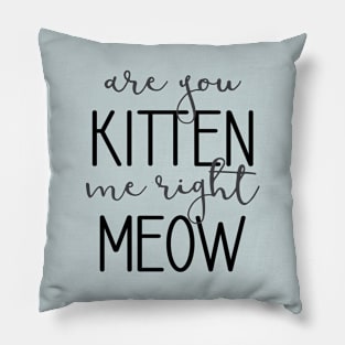 Are You Kitten Me Right Meow Pillow