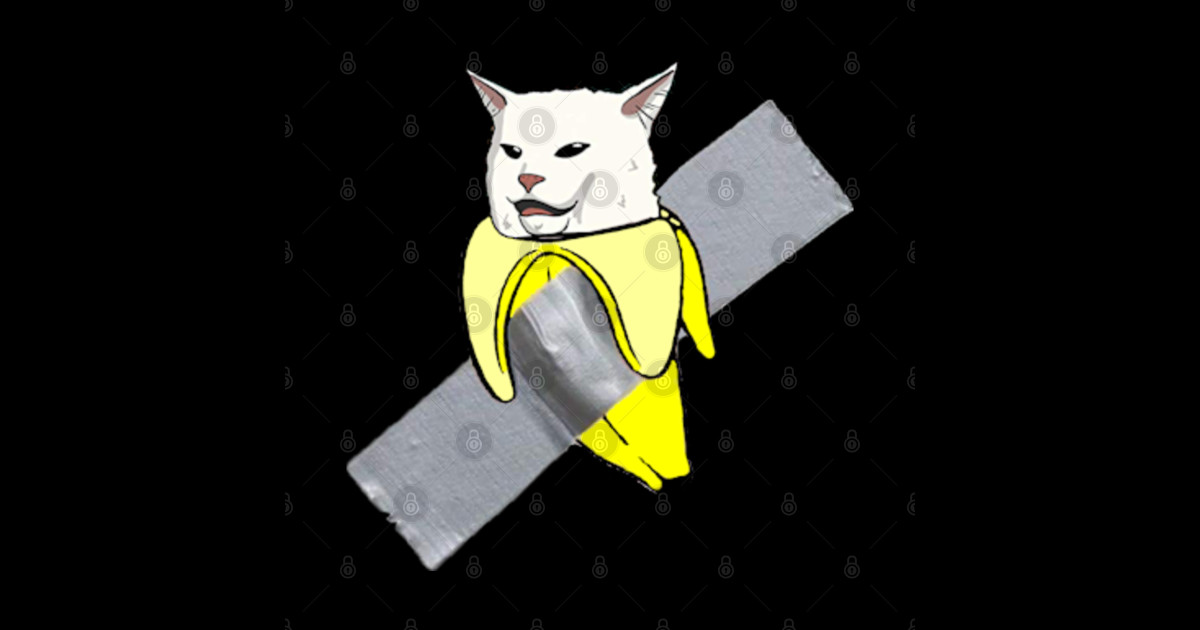 funny cat meme and the Banana ducttaped to the wall Banana Duct
