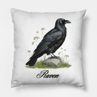 a Raven sitting on top of a green field Pillow
