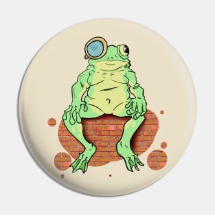 Stanley the Frog Pin