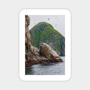 Island of Birds Magnet