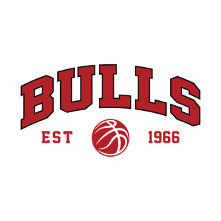 Bulls T-Shirt