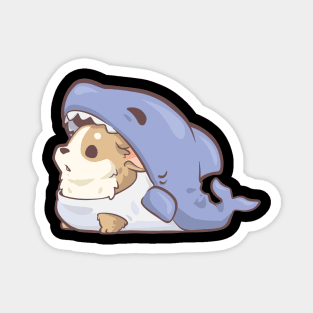 Shark Corgi Magnet